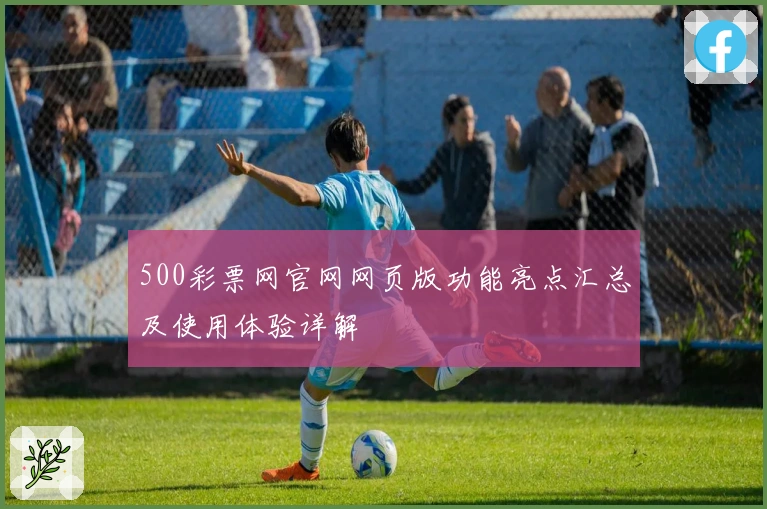 500彩票网官网网页版功能亮点汇总及使用体验详解